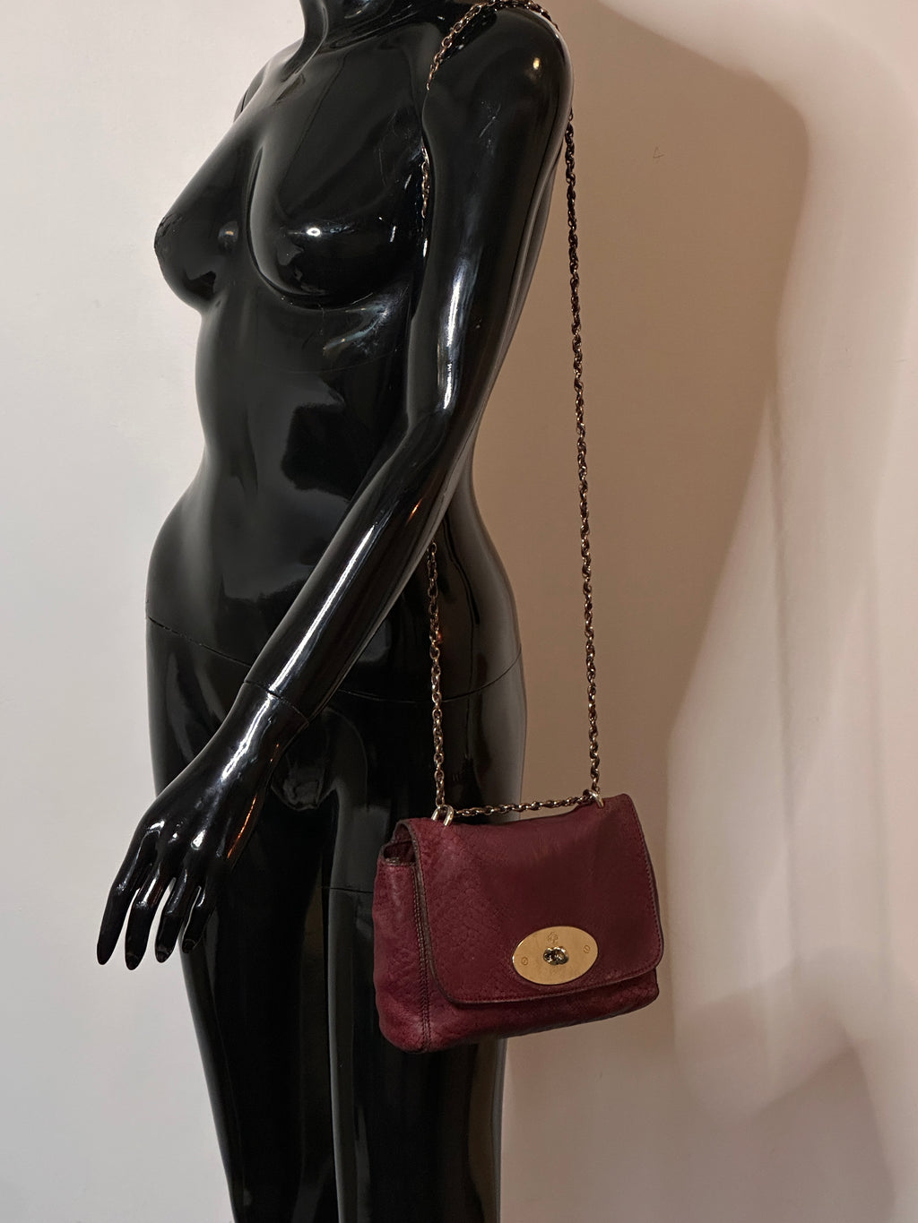 Mulberry Lily Small