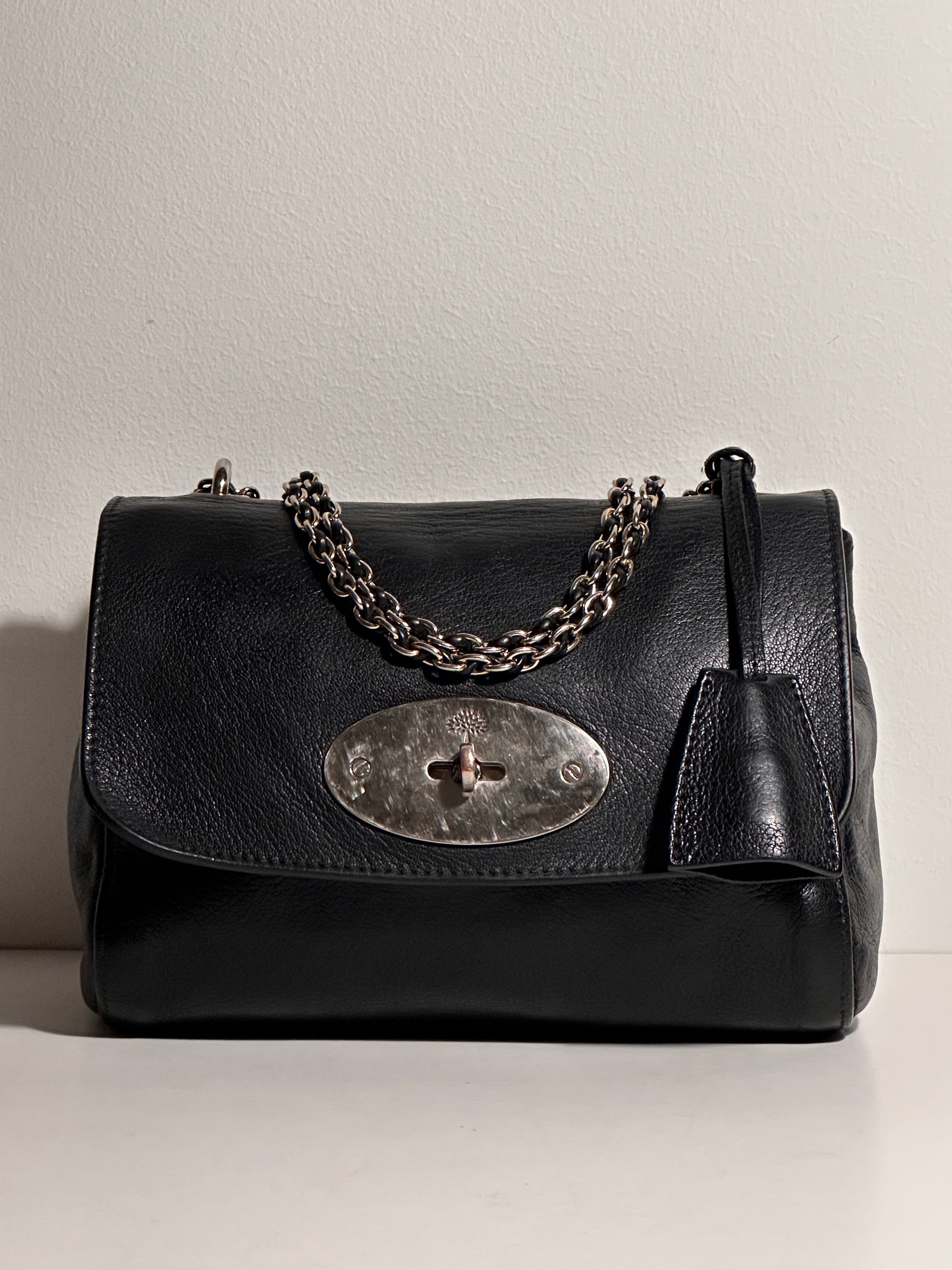 Mulberry Lily Small