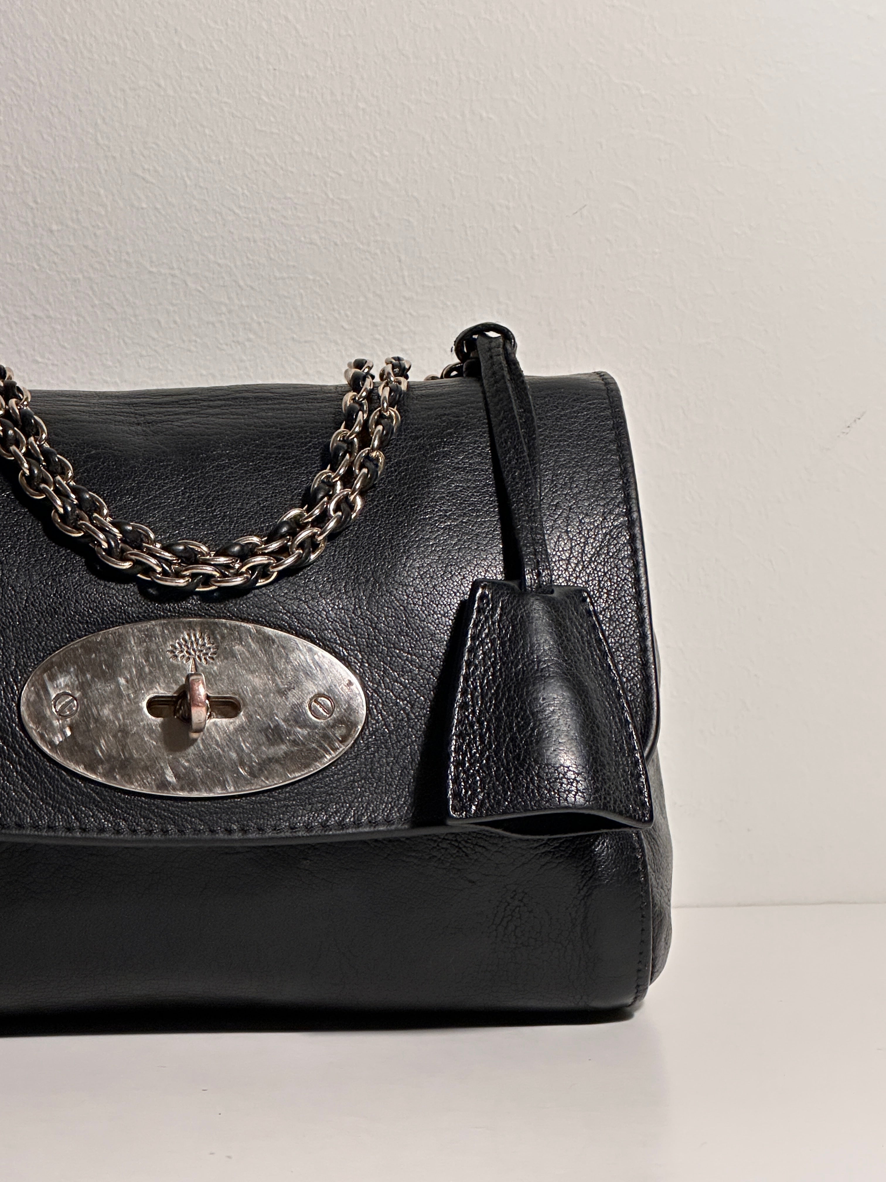 Mulberry Lily Small