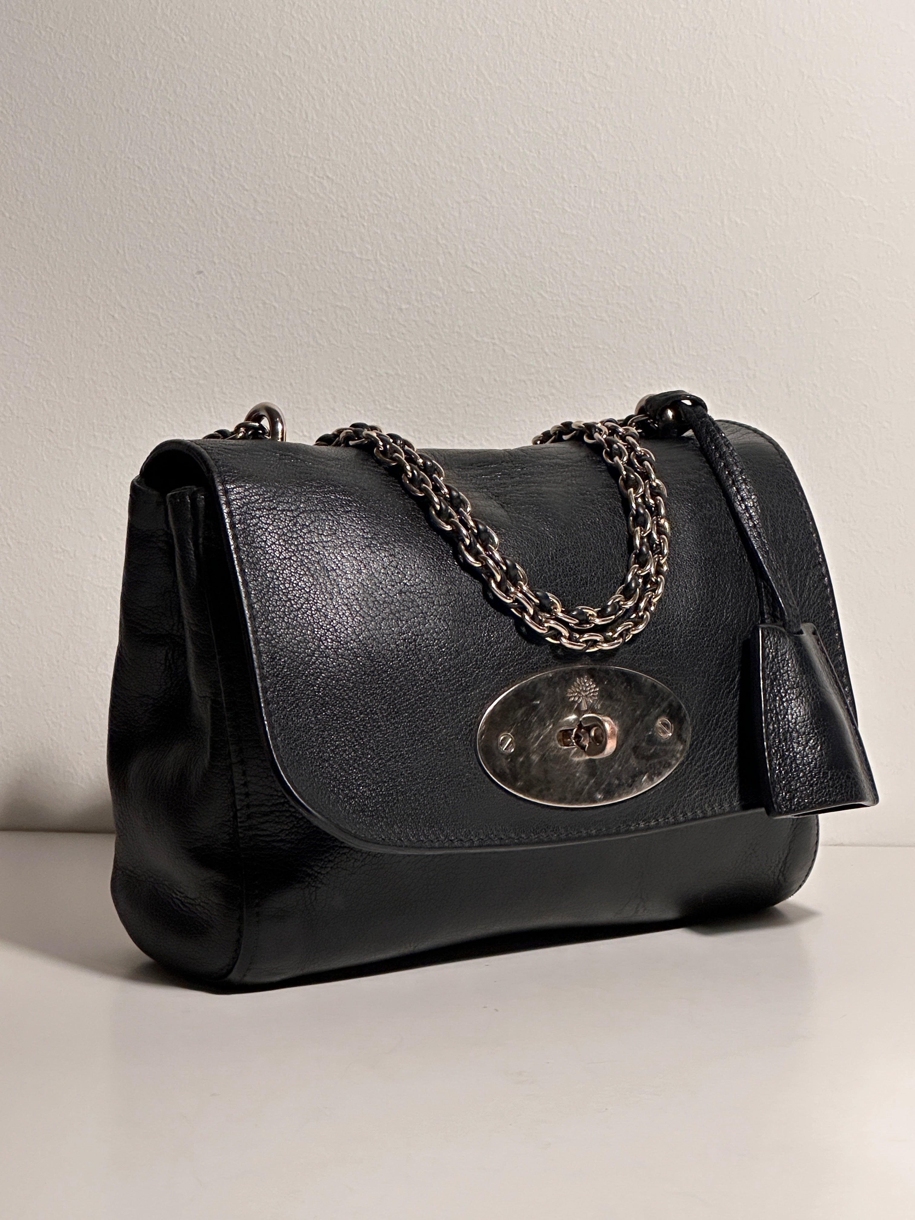 Mulberry Lily Small