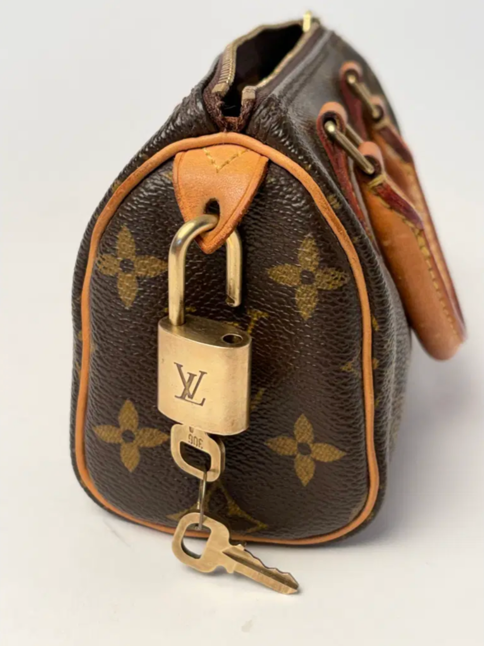 Louis Vuitton Nano Speedy