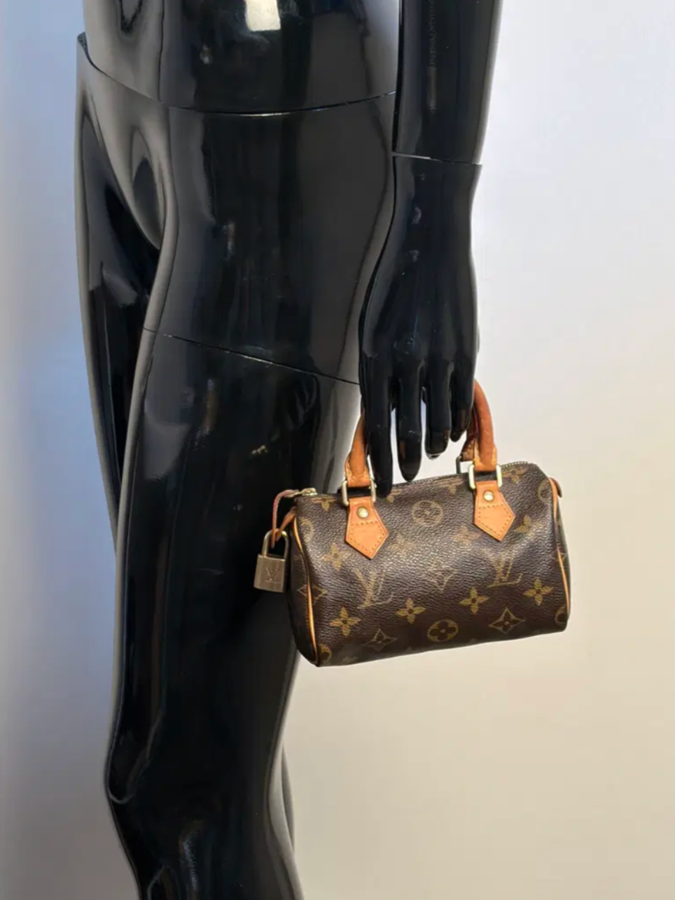 Louis Vuitton Nano Speedy