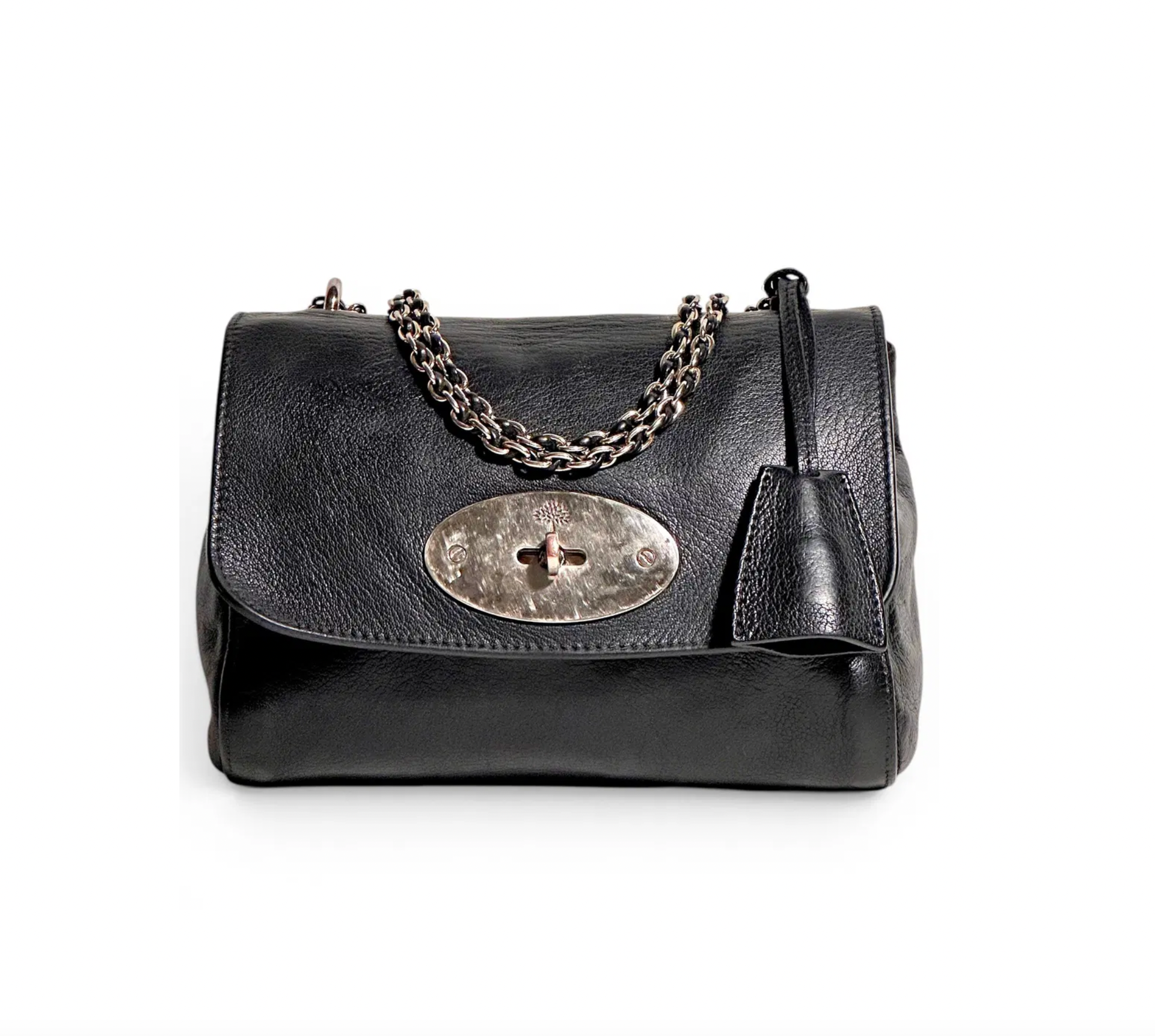 Mulberry Lily Small