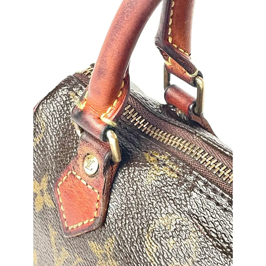 Louis Vuitton Nano Speedy